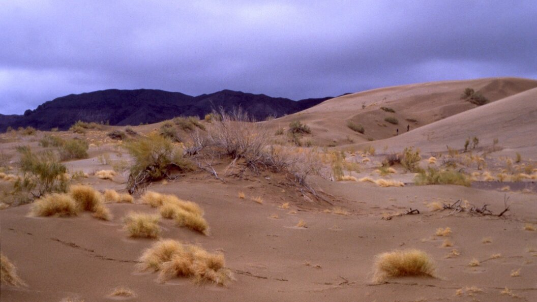    Vasiliy Klimov/Russian Look/Globallookpress