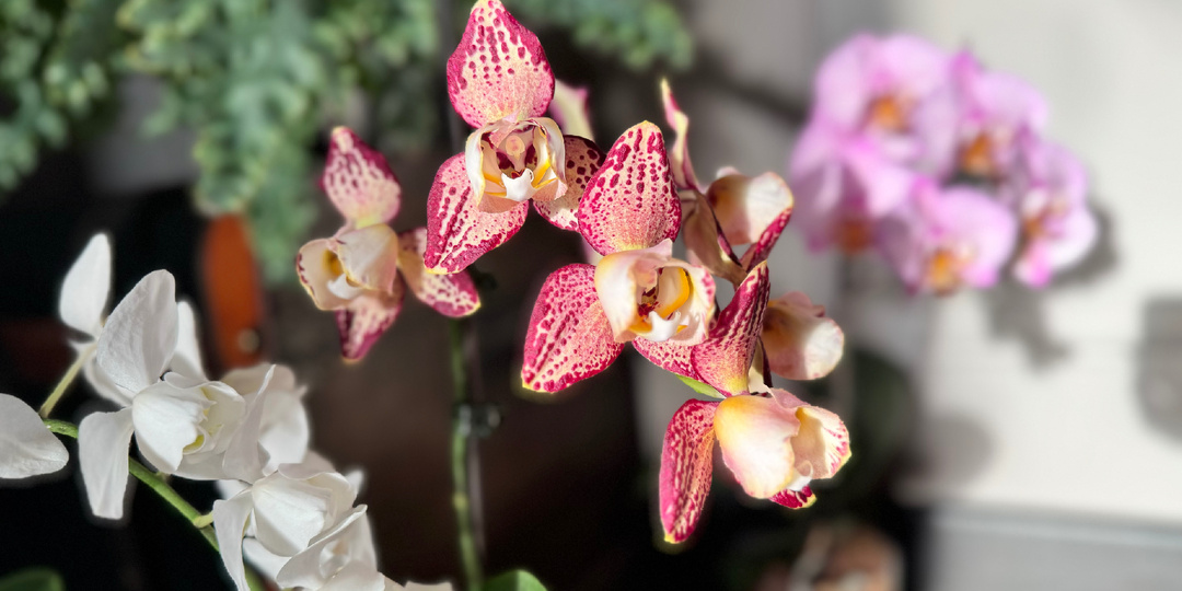 Чего им от меня надо 😲???