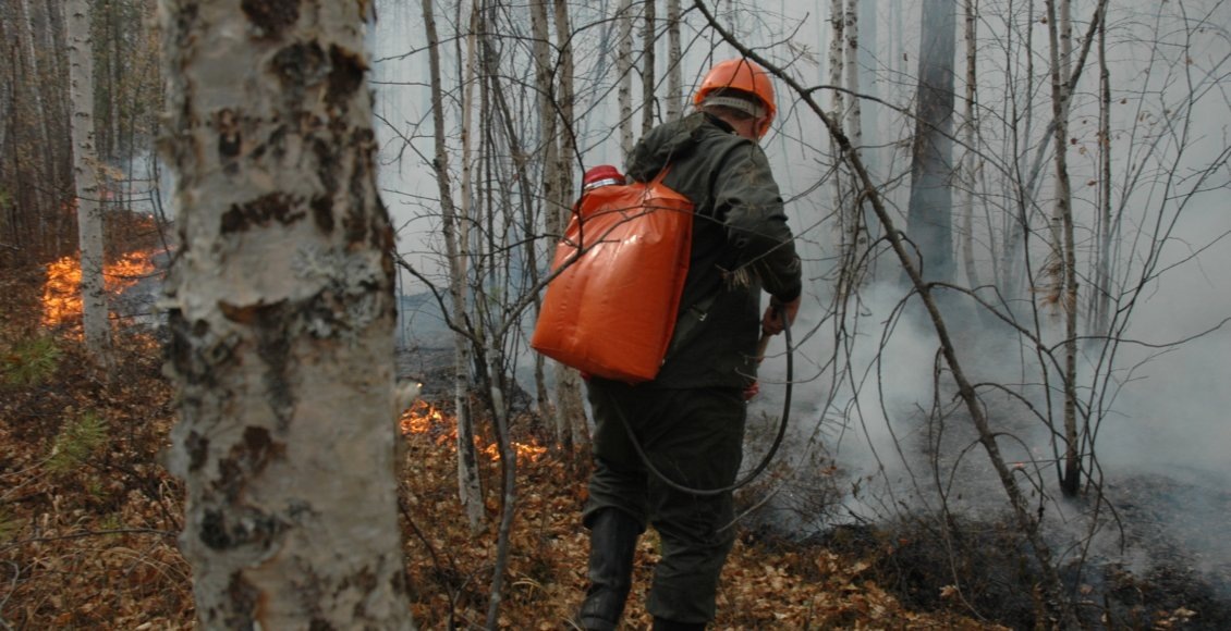    Фото: Минприроды Забайкальского края