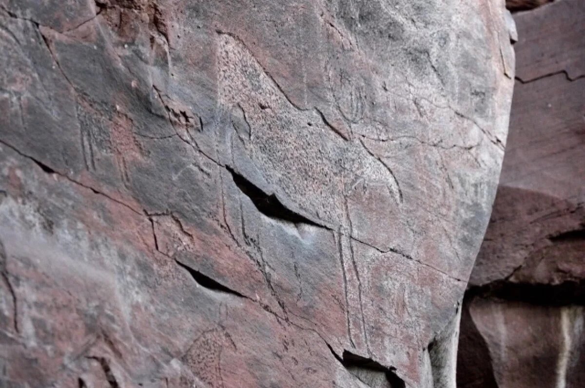    Названо место в Красноярском крае, где обнаружили сотни древних петроглифов