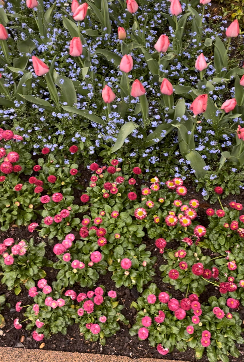 Фото из архива автора