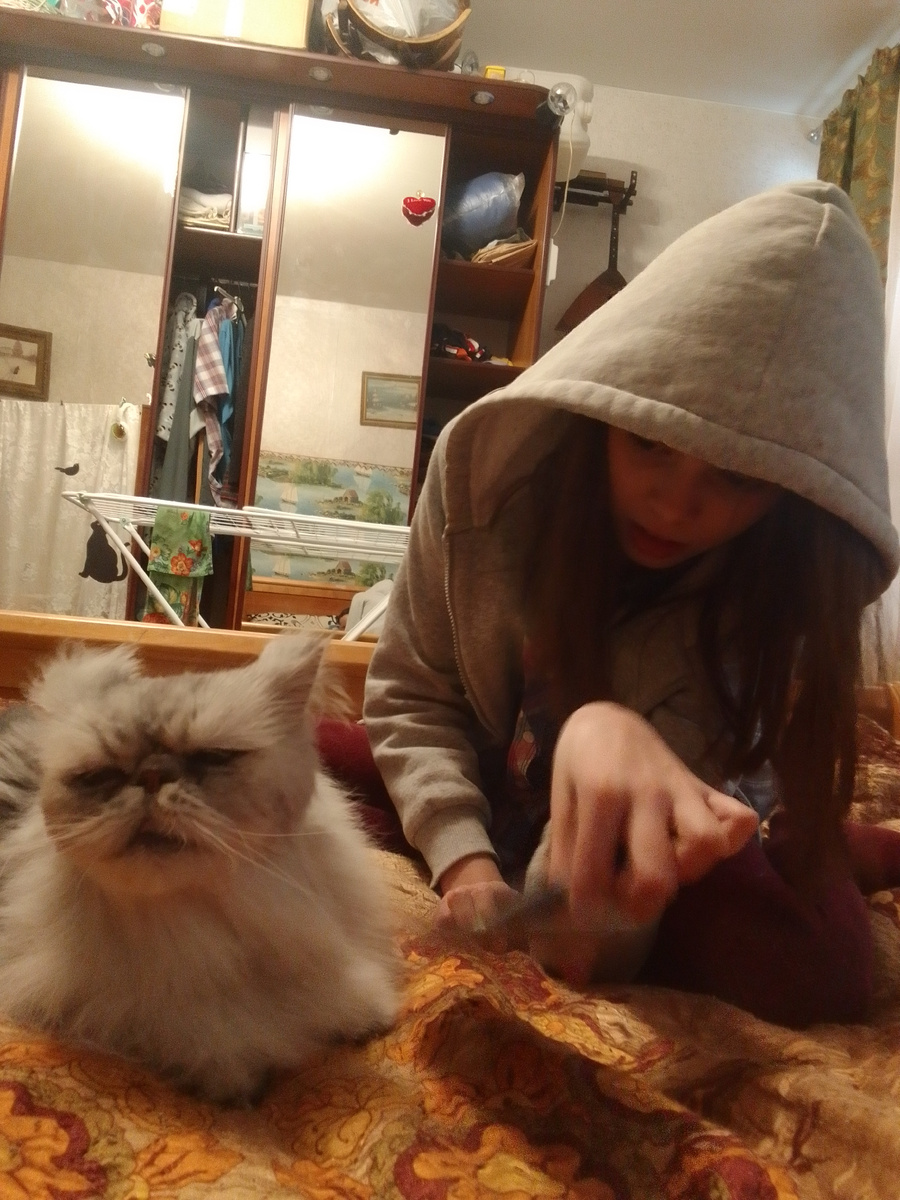 Прическу коту поправить надо.