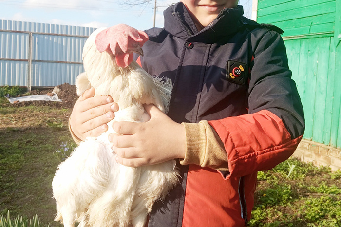 Вот такое моё приобретение! Фото: Виолетта Гавриленко.