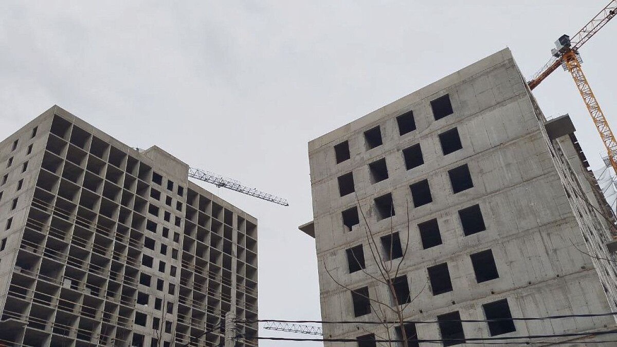    Фото: телеканал «Краснодар»