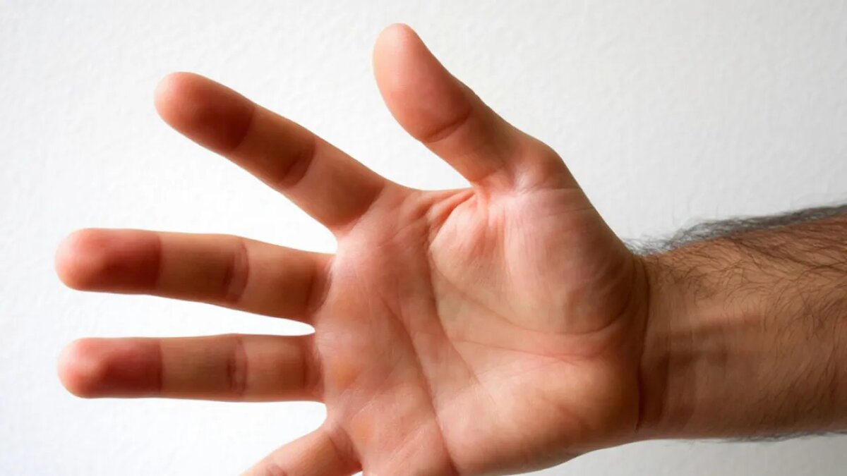    Сгенерировано ИИ