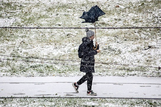 Фото: Георгий Поветкин/ТАСС
