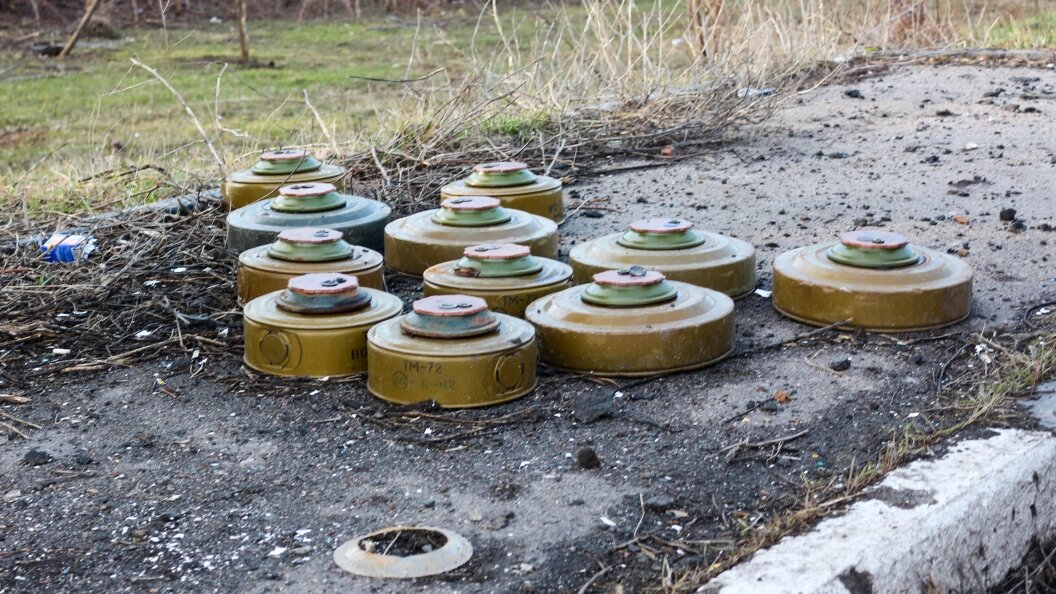    фото: Konopatov Yuri/news.ru/Globallookpress