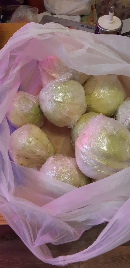 Из овощной ямы были принесены остатки капусты