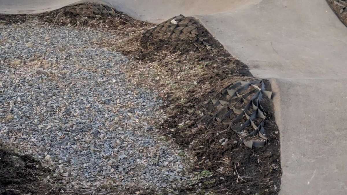     Источник: Telegram-канал «КошкинГород»