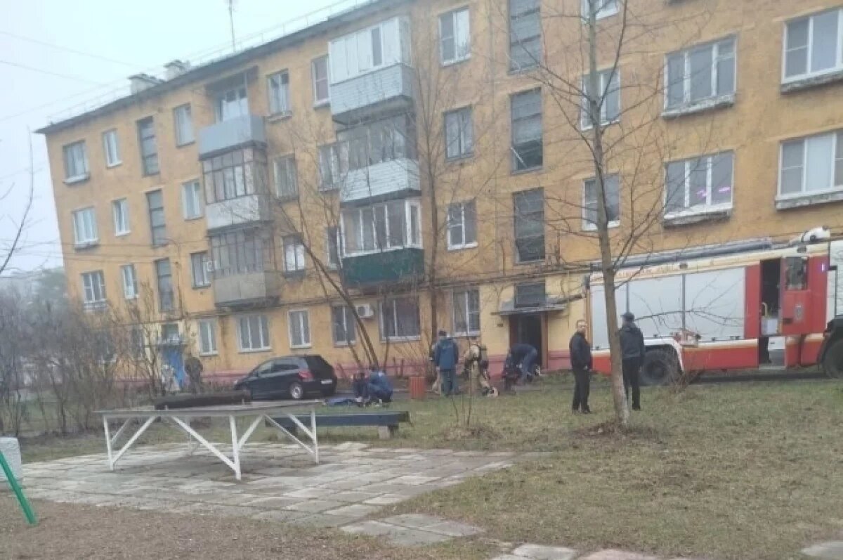    Нижегородка зарезала мать и случайно погибла, скрывая следы преступления