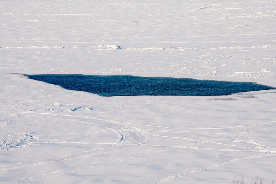    Архивное фото. Фото: Svetlana Vozmilova / Globallookpress.com
