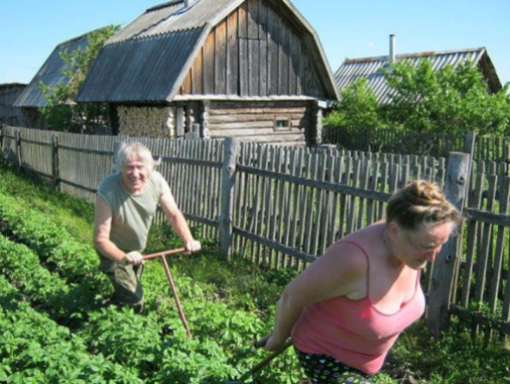    Фото: Пруфы