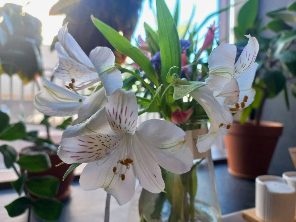 Фото автора.