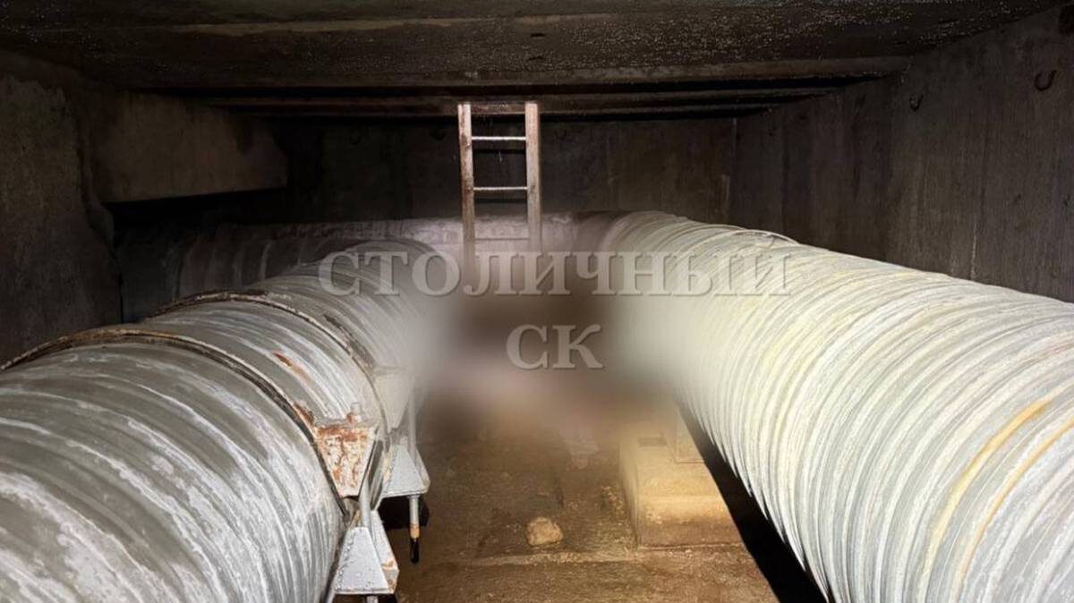    Фото: ГСУ СК России по Москве / Telegram