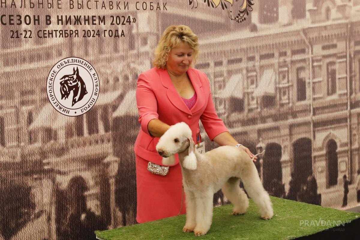    Домашние животные возрастом старше трех лет подлежат обязательной регистрации