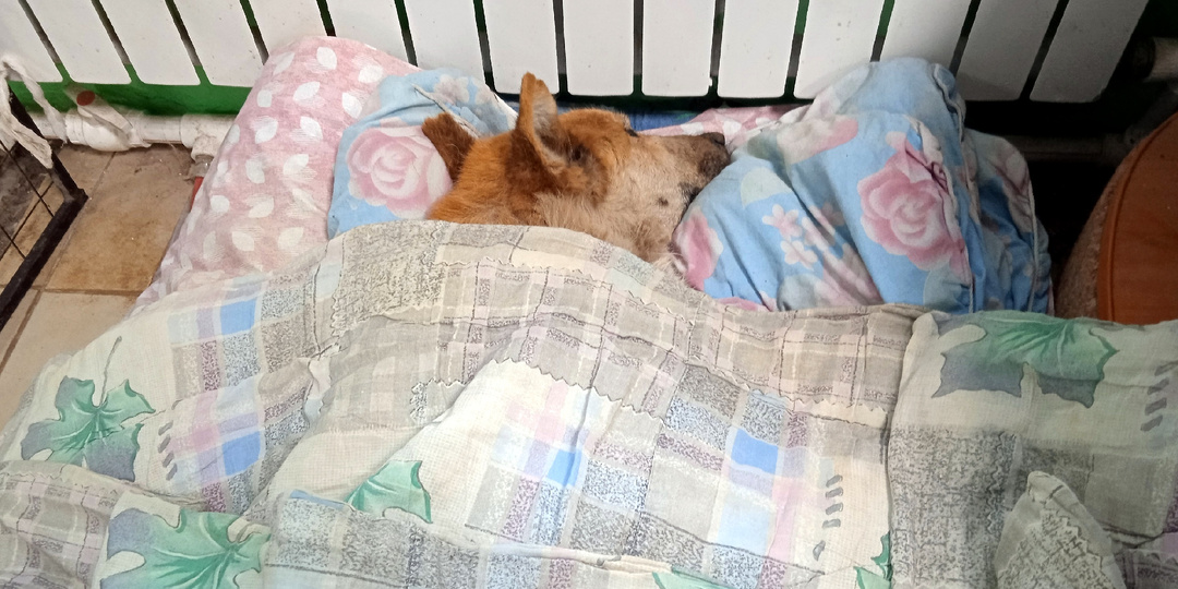 Если нет места в палате, то больных кладут в коридоре