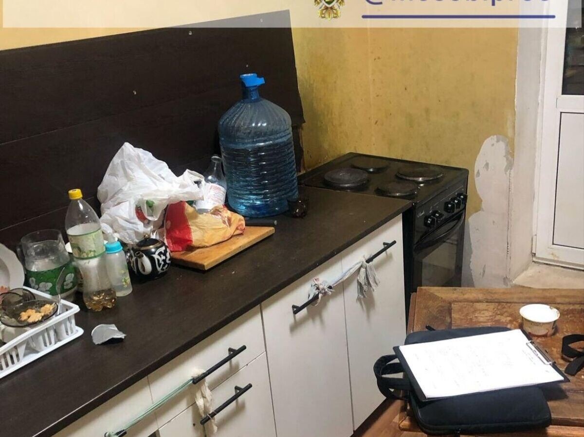 Кухня, на которой погиб ребенок Источник https://avatars.dzeninfra.ru/get-zen_doc/271828/pub_67f5165b9f497779113847ff_67f518a79f4977791139381c/scale_1200