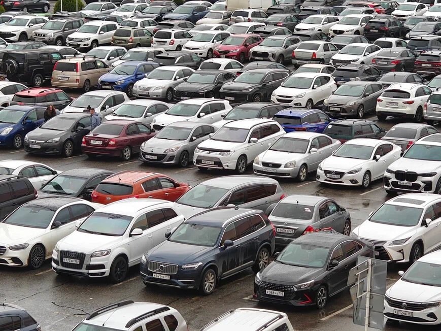    Фото: Юрий Серебренников/BFM Кубань