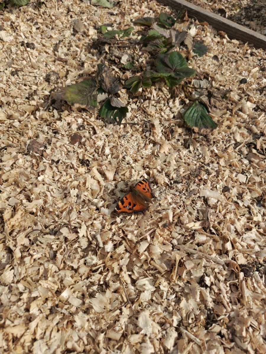 Красавица какая)