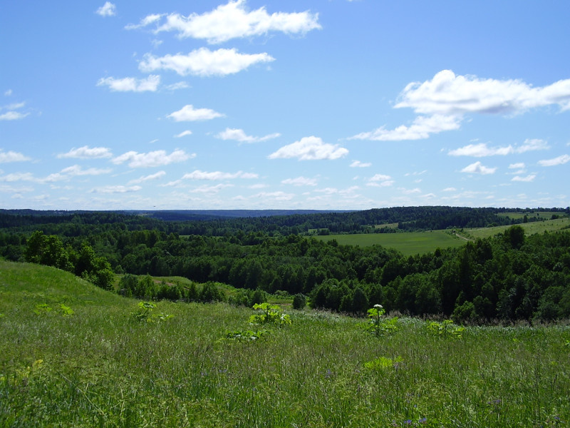 Вид из деревни Печенкино