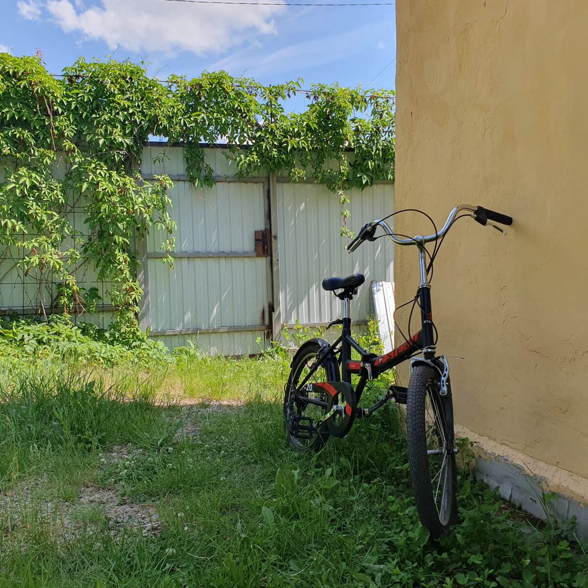 Старший сын гоняет по СНТ на велосипеде