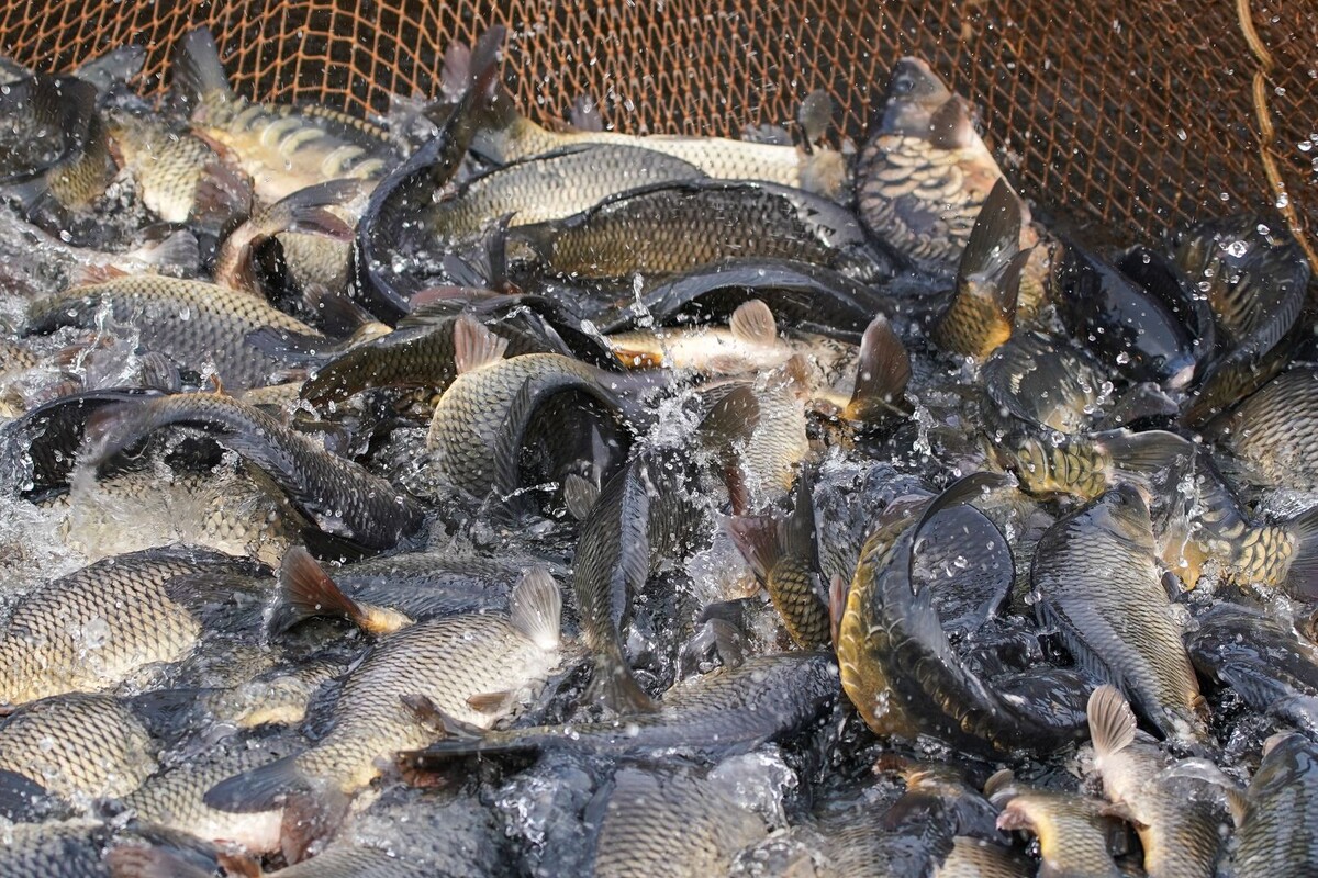     / Источник: © ИЗВЕСТИЯ/Сергей Лантюхов