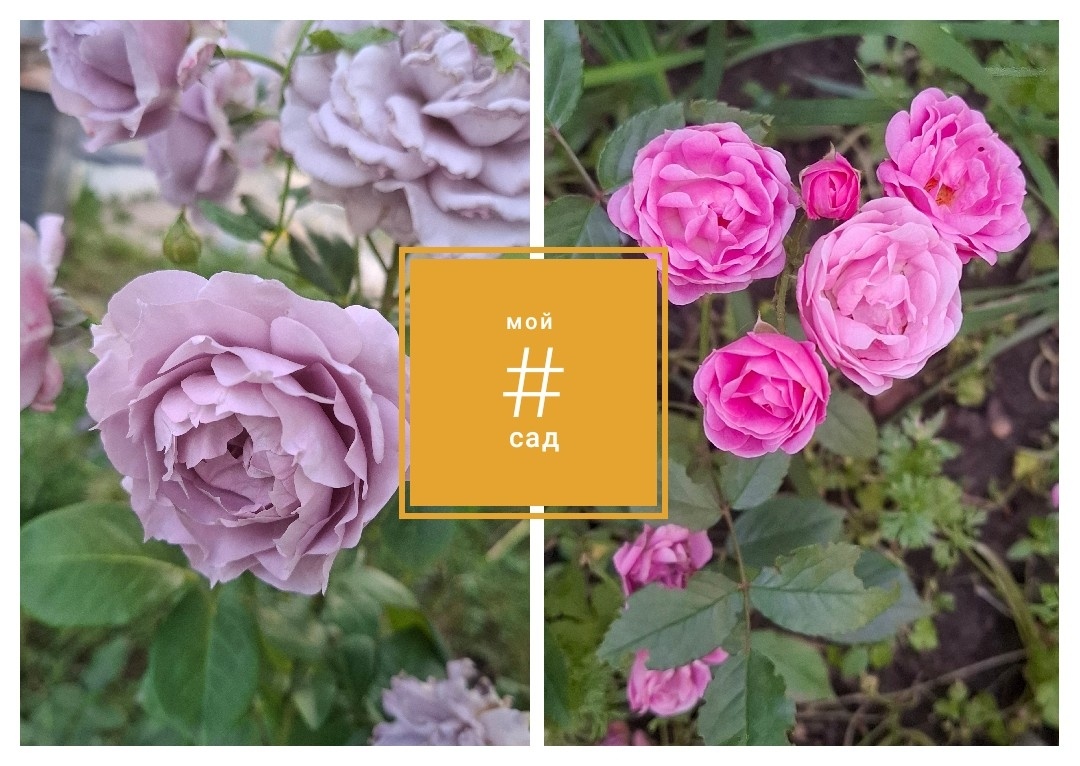 шаблоны зачастую не дают возможности их менять