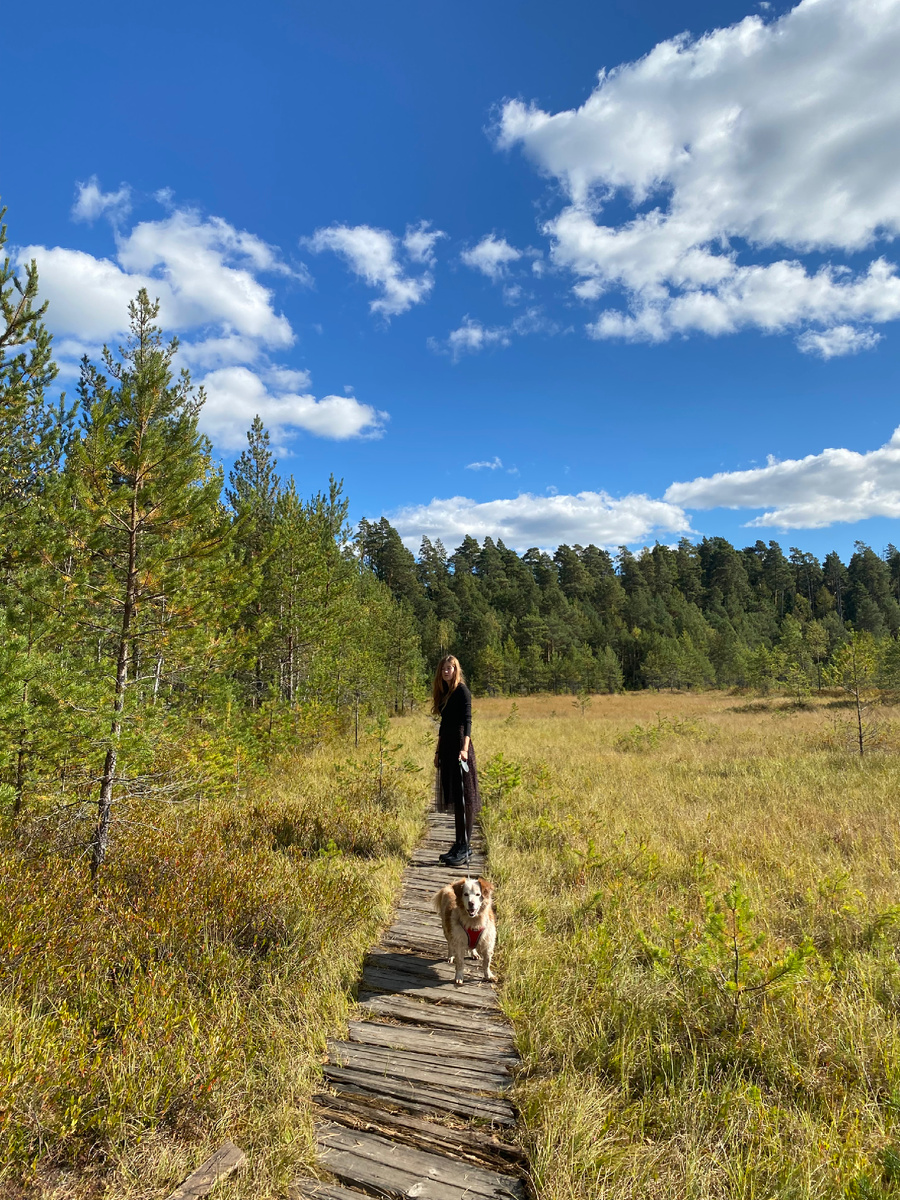 На территории карьера Сима 