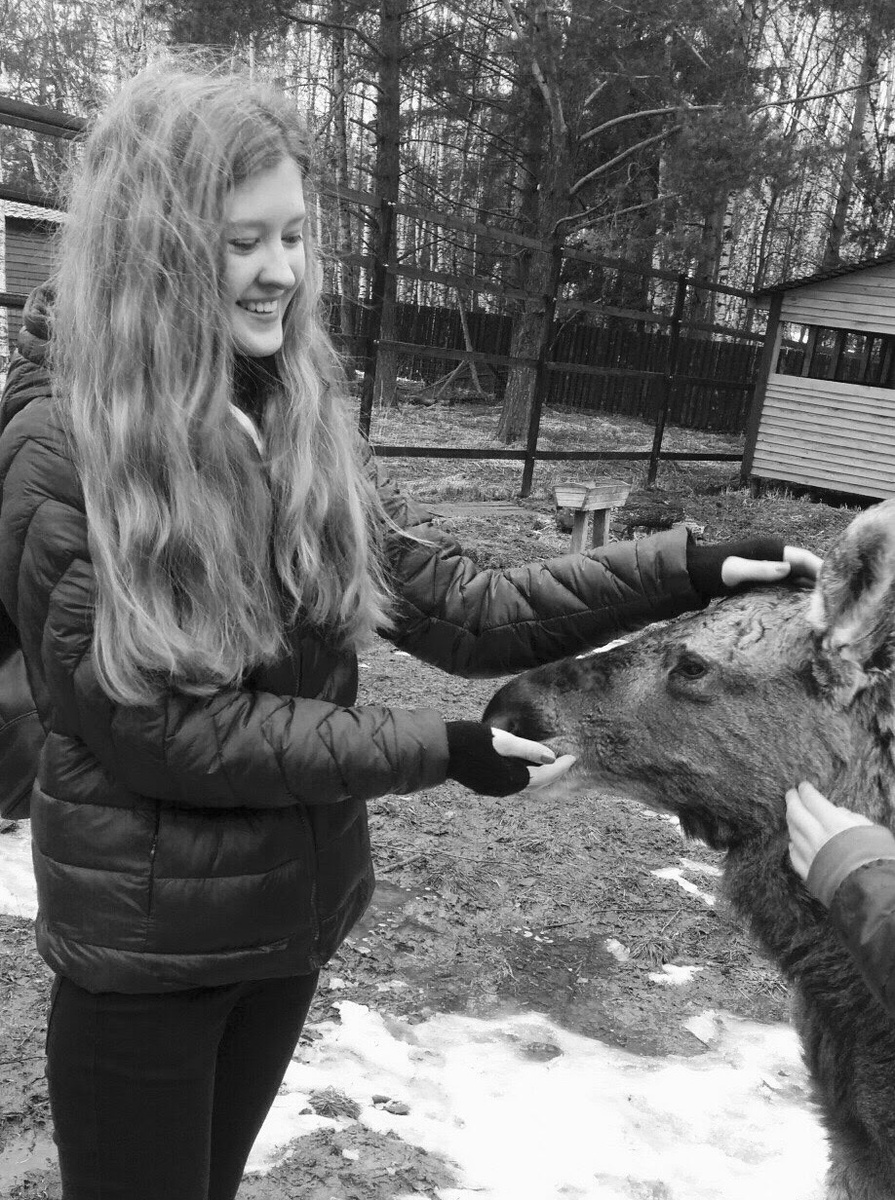 В 2017 году были там и даже гладили маленьких лосят 😍