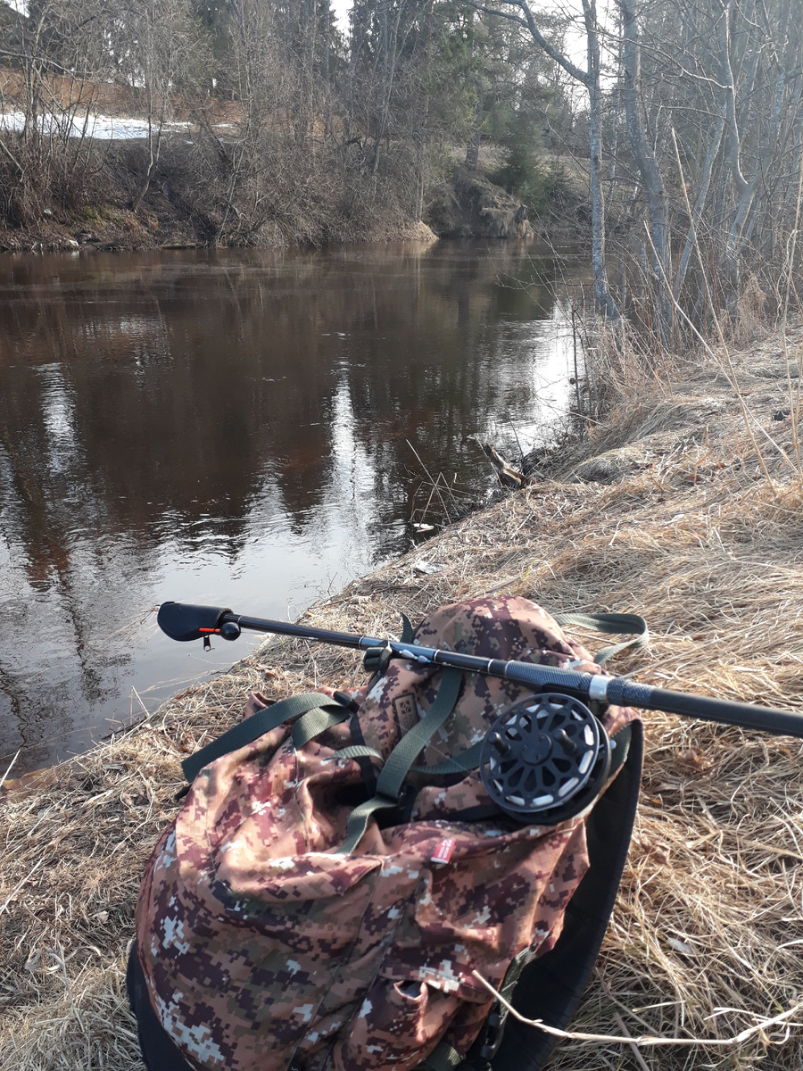 Утро на берегу реки