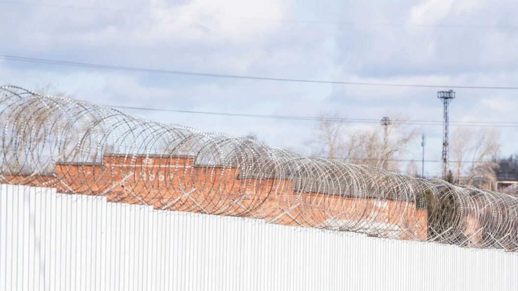    Фото: Ilya Moskovets/URA.RU/Globallookpress