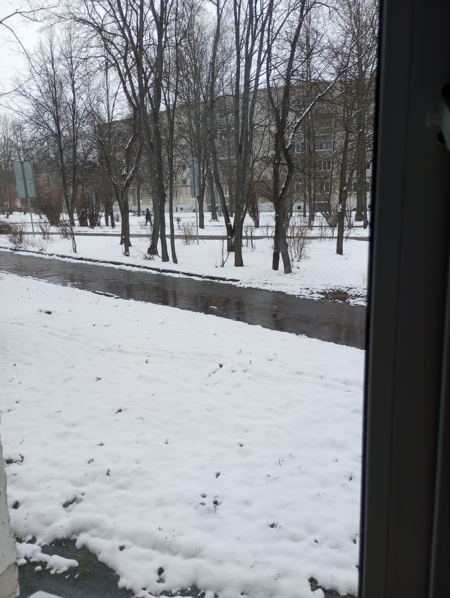 Зима. Фото автора. 