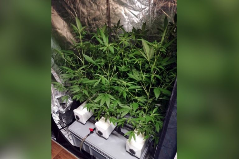    CREATOR: gd-jpeg v1.0 (using IJG JPEG v62), quality = 100