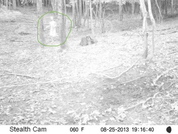 Автор фото неизвестен, снимок взят из открытого доступа. 