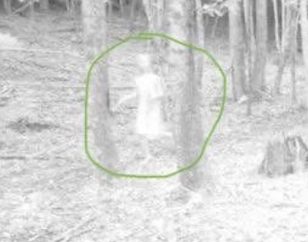 Автор фото неизвестен, снимок взят из открытого доступа. 