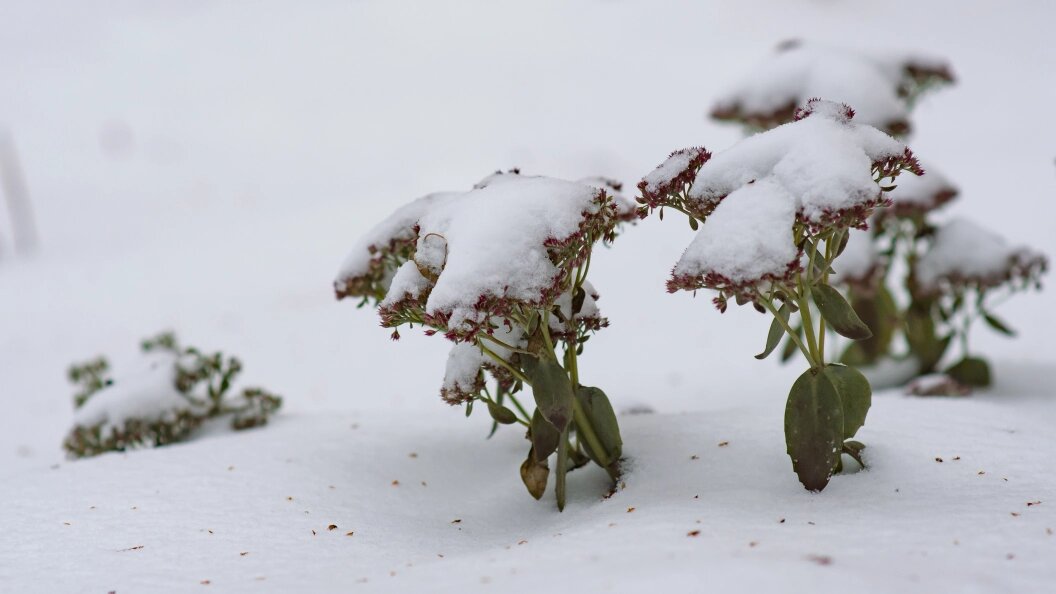    Oleg Spiridonov/Business Online/Globallookpress