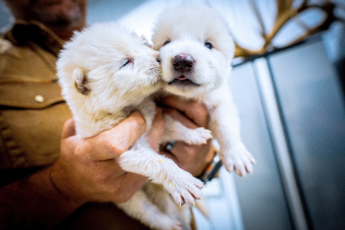    Colossal, Inc./Cover Images via Reuters Connect