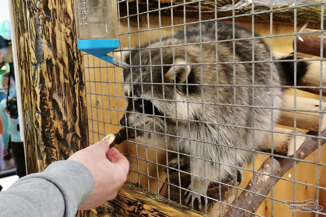    Фото: Ксения Жигалова © ИА «Уральский меридиан»