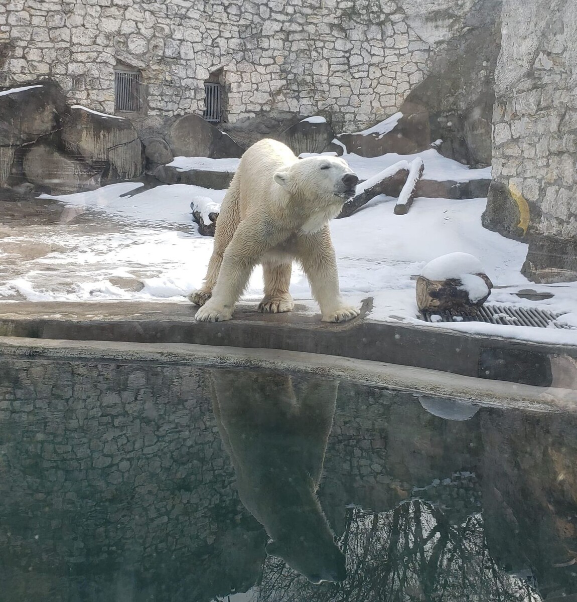    «Роснефть» организовала экскурсию для детей в Московский зоопарк / Источник: Пресс-служба ПАО «НК «Роснефть»