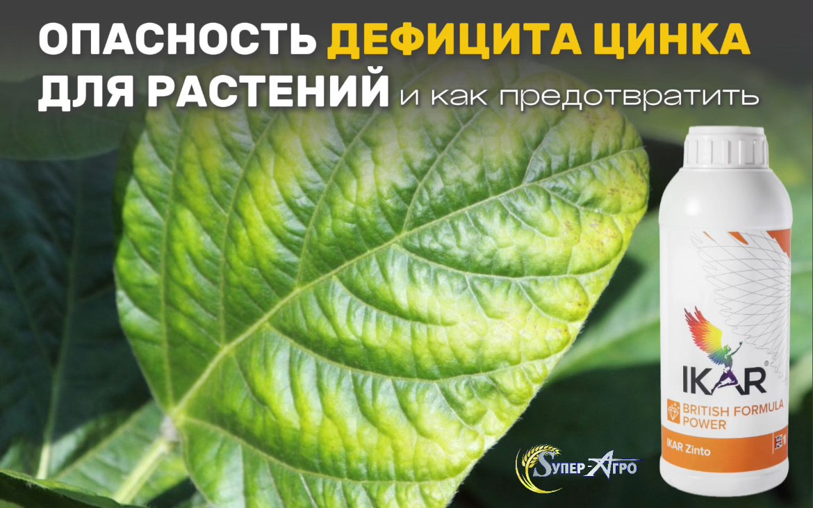 Дефицит цинка