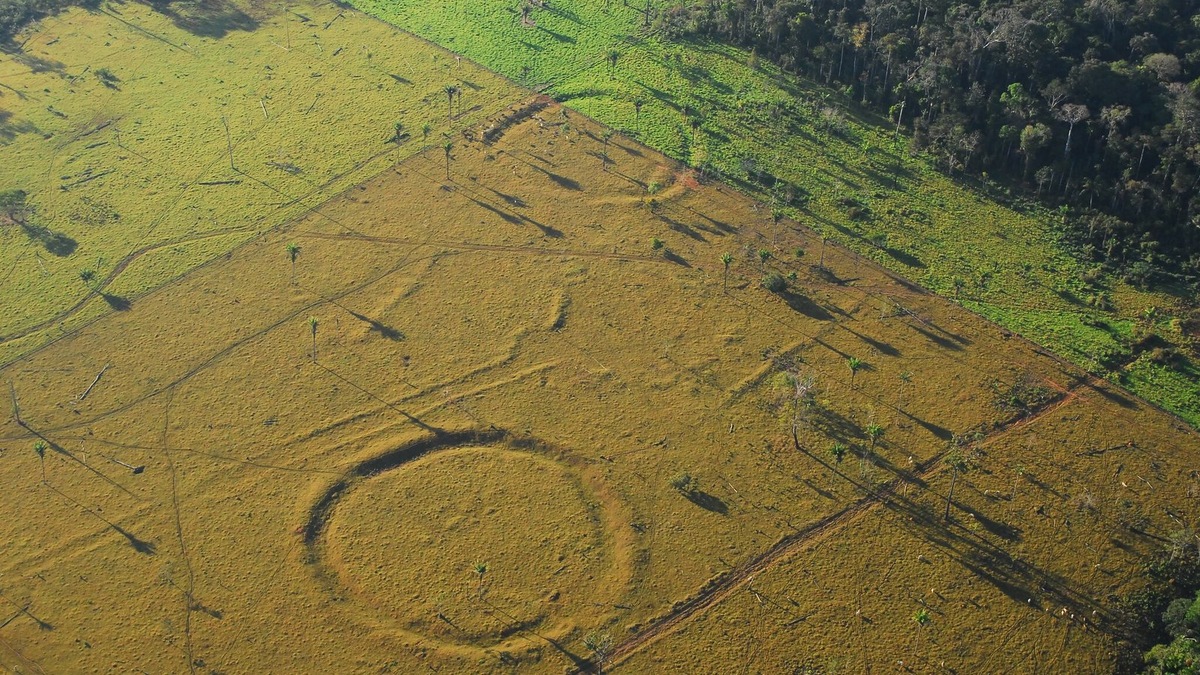    Гигантские тайны Амазонии кто оставил эти загадочные рисунки под землёй