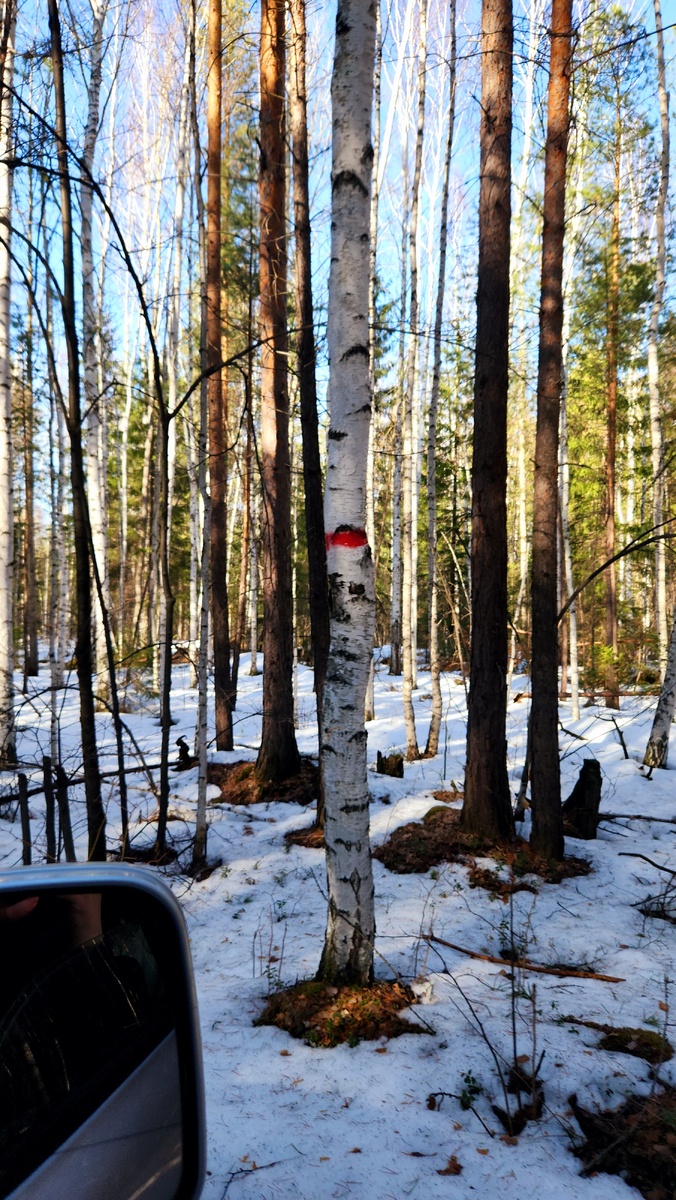 Дорога на всем протяжении помечена краской.
