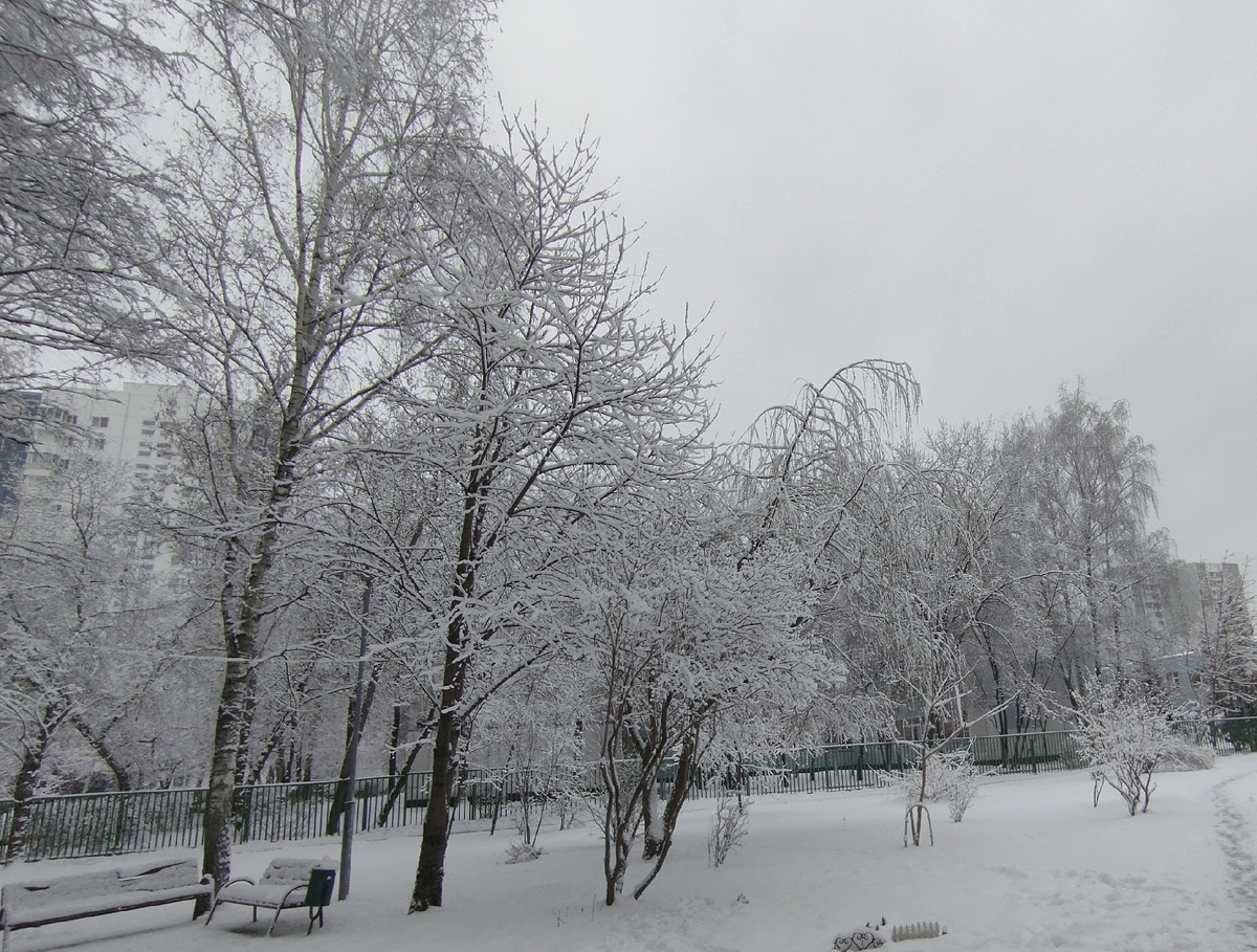 Весна. Апрель. Утро. 08.04.2025 г, вторник. Московское время 08 час 00 мин.