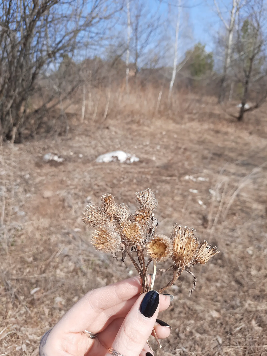 Колорит - невъе*ацца
