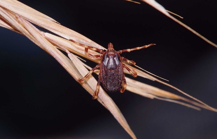    Shutterstock/FOTODOM