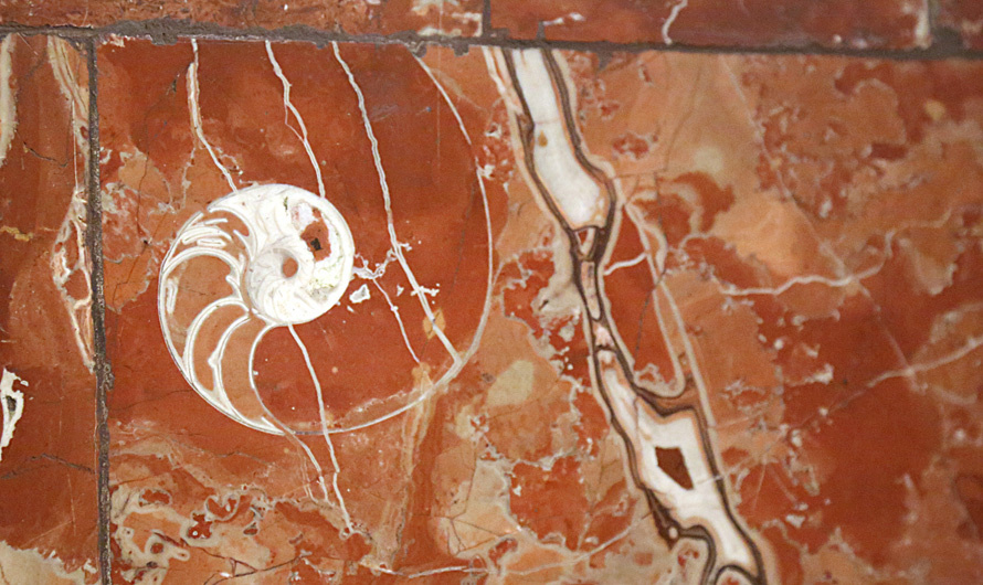 След древней окаменелости раковины моллюска возрастом 145–200 миллионов лет на колонне в вестибюле станции метро "Электрозаводская" в Москве