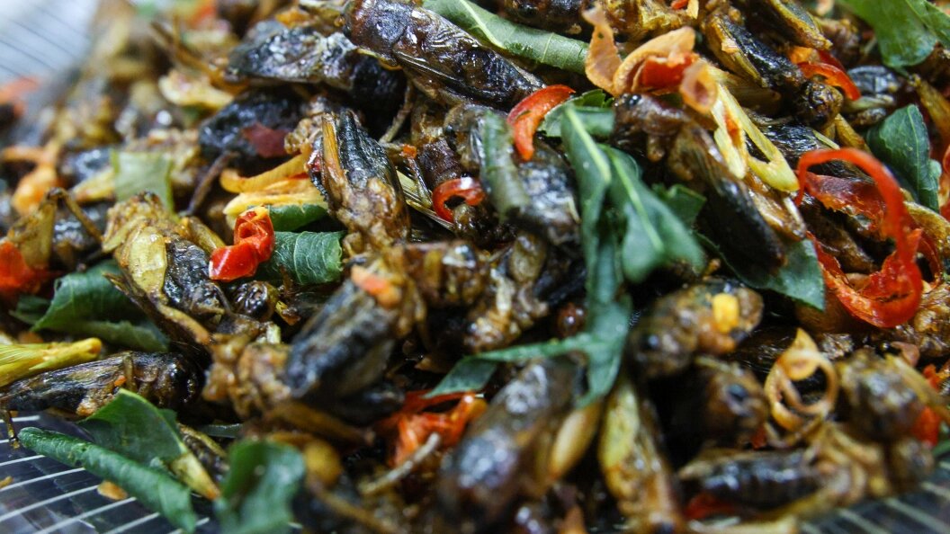    Bulkin Sergey/Globallookpress