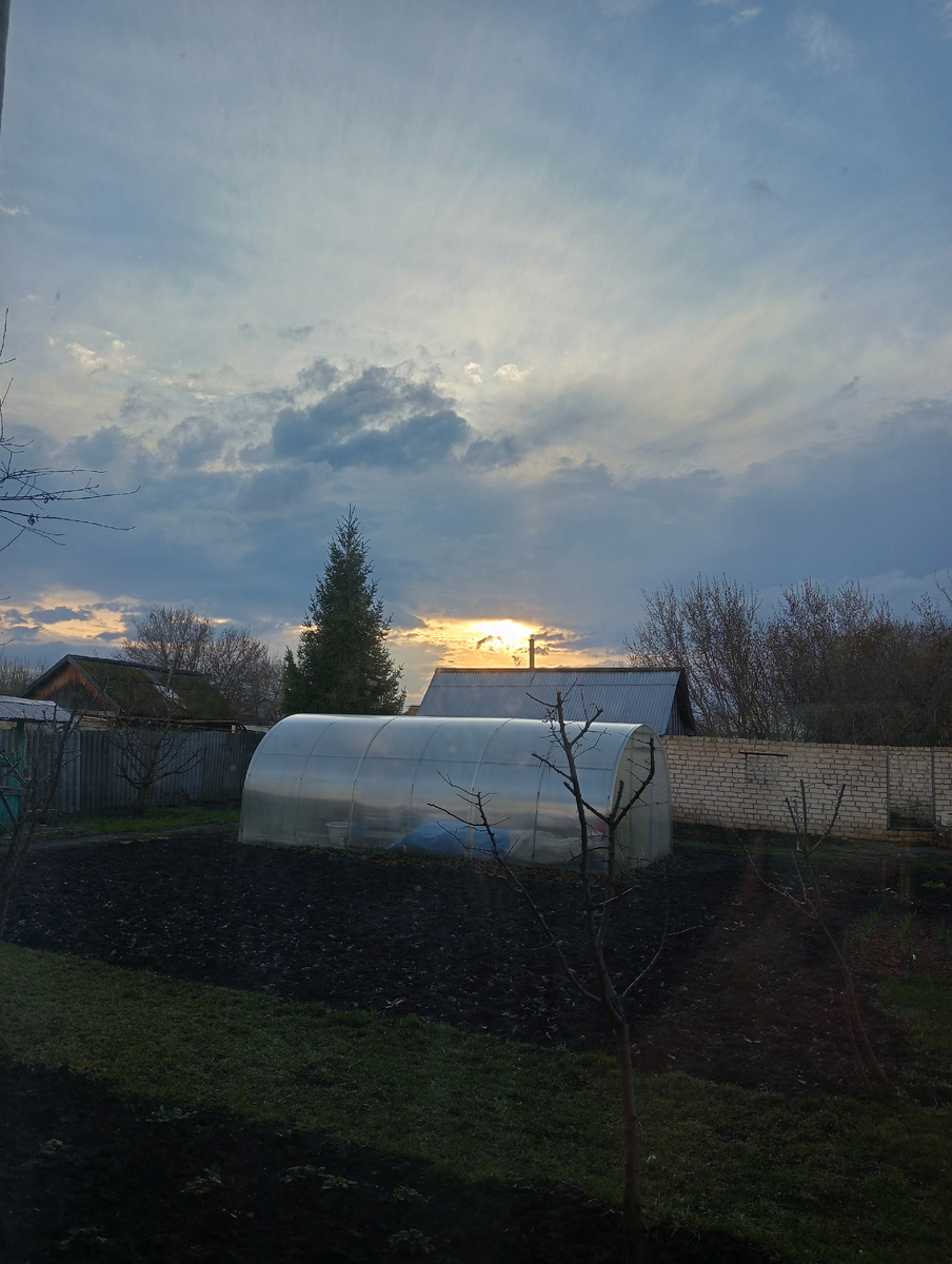 Мой вид из кухонного окна на теплицу, где сейчас с любовью укрыты томатики, перцы и цветочки. Все в ящиках и стаканчиках.  И будут ждать завтрашнего солнца.