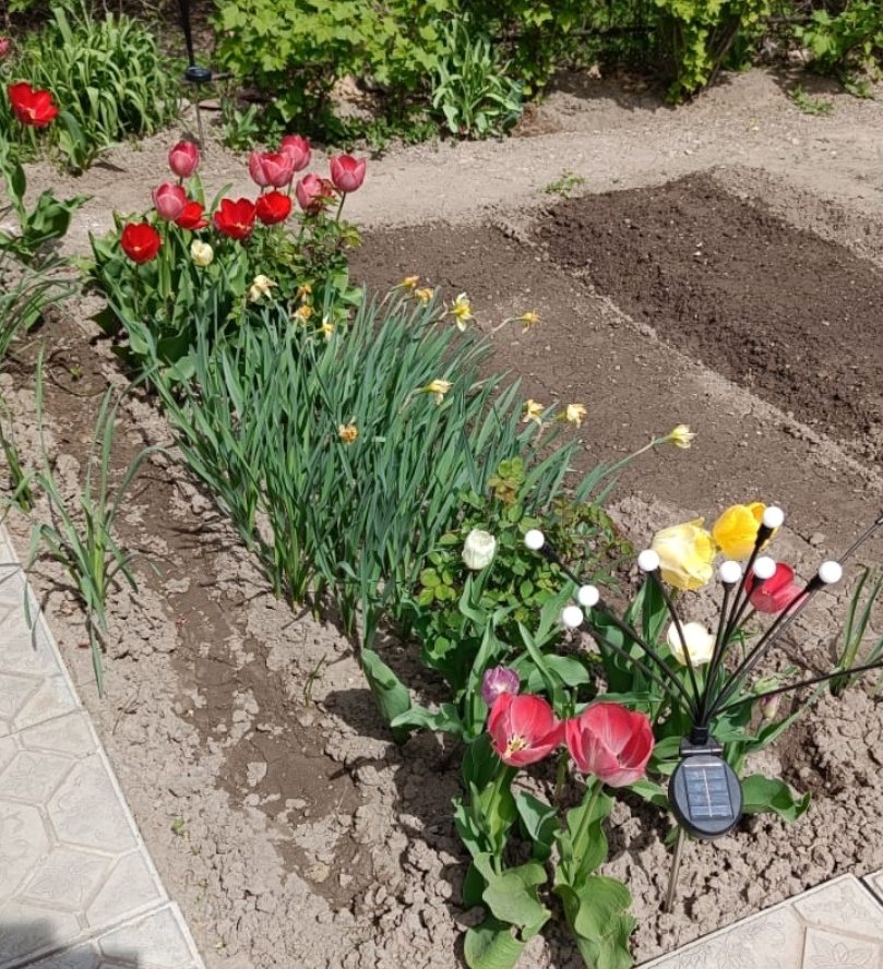 Фото друзей для канала автора