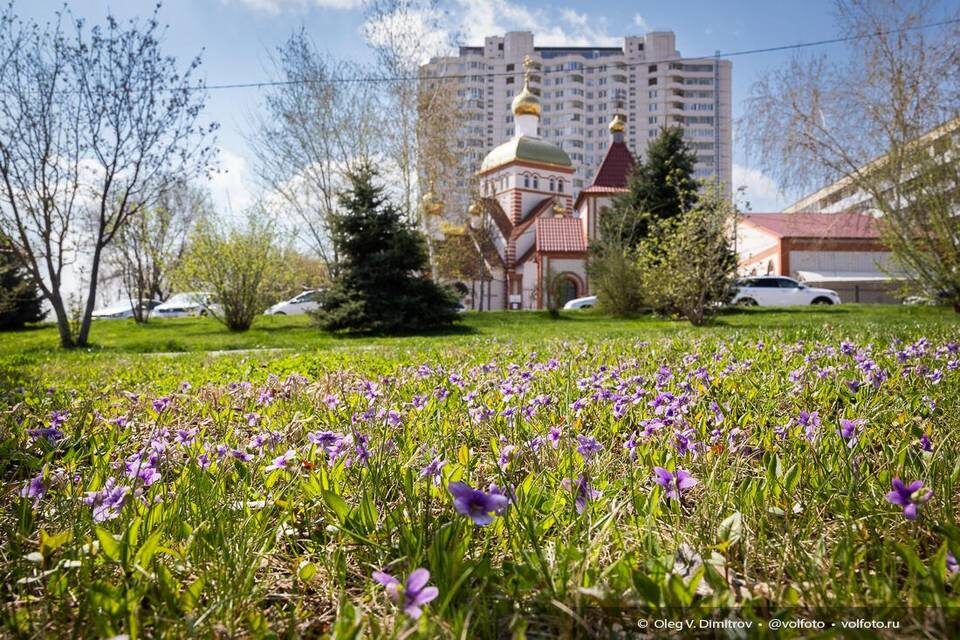    Фото: Олег Димитров / "Городские вести"